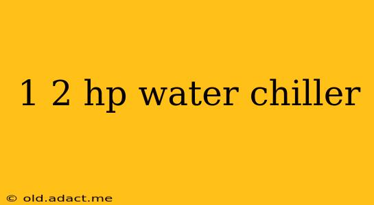 1 2 hp water chiller