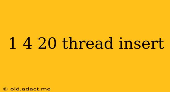 1 4 20 thread insert