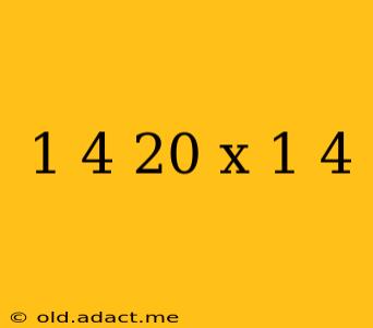 1 4 20 x 1 4