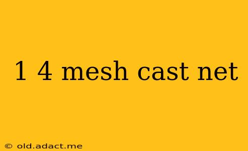 1 4 mesh cast net