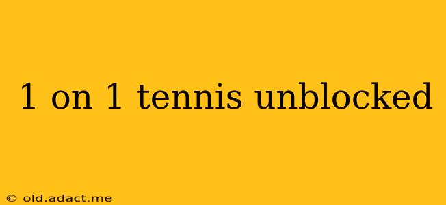 1 on 1 tennis unblocked