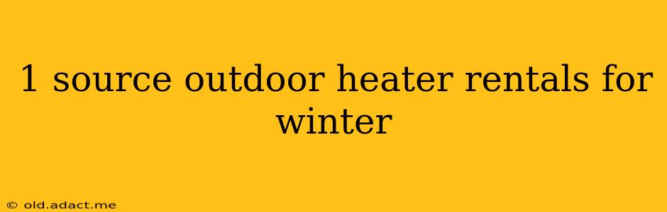 1 source outdoor heater rentals for winter