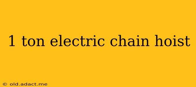 1 ton electric chain hoist