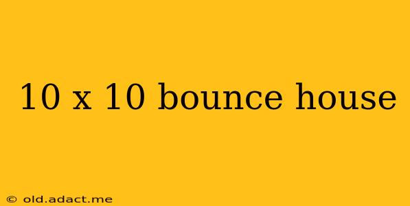10 x 10 bounce house