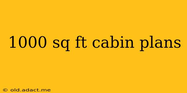 1000 sq ft cabin plans