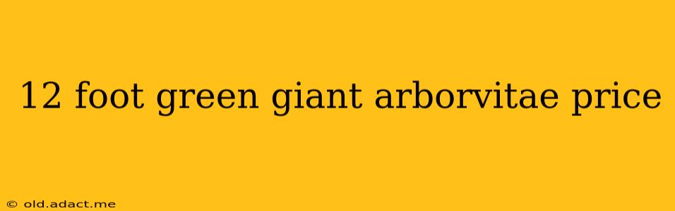 12 foot green giant arborvitae price