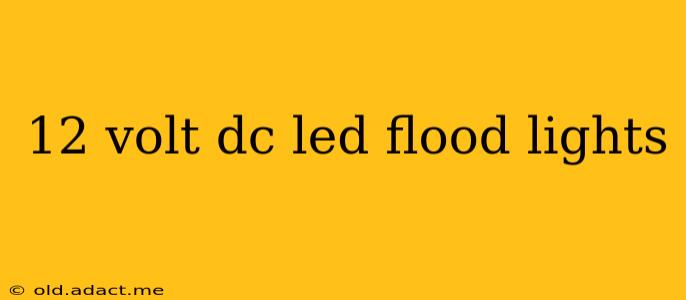 12 volt dc led flood lights