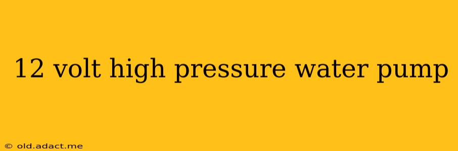 12 volt high pressure water pump