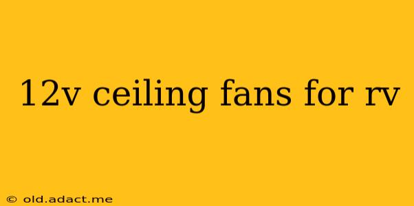 12v ceiling fans for rv