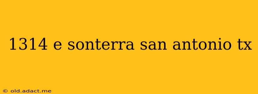 1314 e sonterra san antonio tx