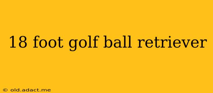18 foot golf ball retriever