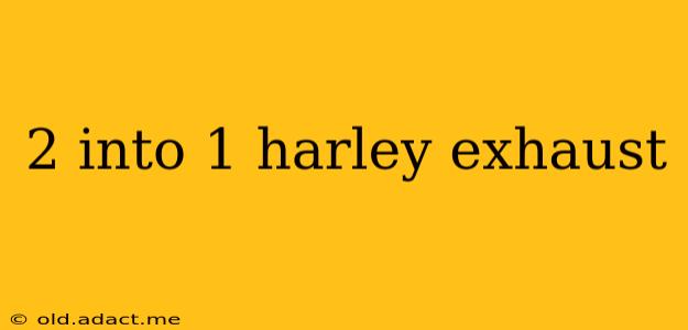 2 into 1 harley exhaust