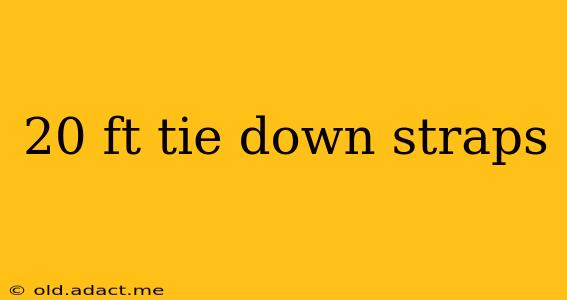 20 ft tie down straps