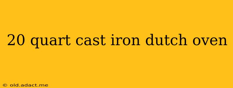 20 quart cast iron dutch oven
