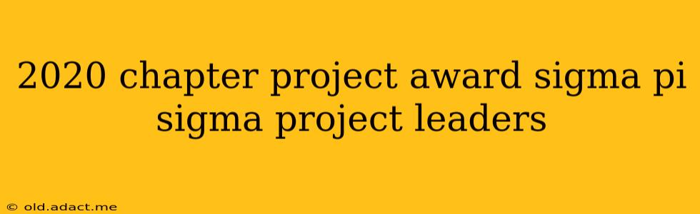 2020 chapter project award sigma pi sigma project leaders