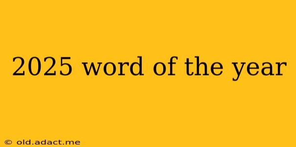 2025 word of the year