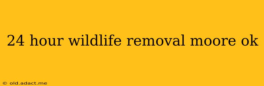 24 hour wildlife removal moore ok