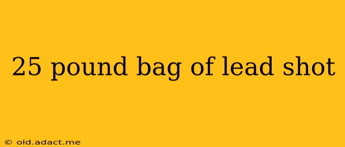 25 pound bag of lead shot