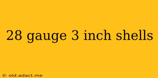 28 gauge 3 inch shells