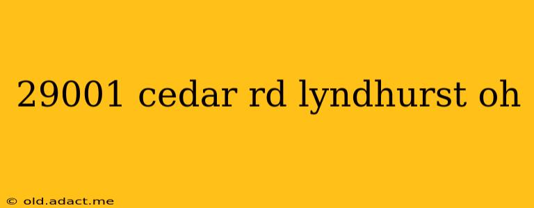 29001 cedar rd lyndhurst oh