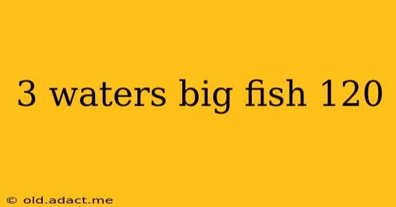 3 waters big fish 120