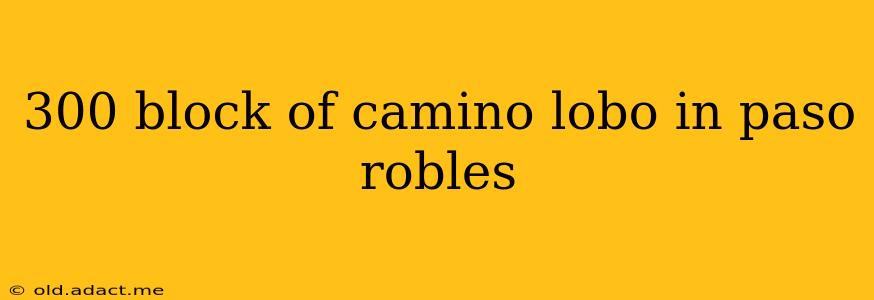 300 block of camino lobo in paso robles
