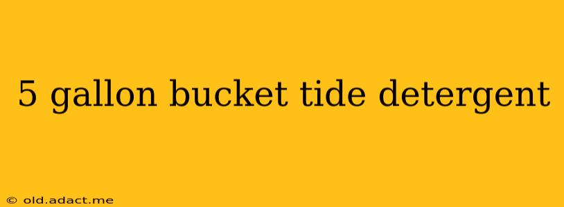 5 gallon bucket tide detergent