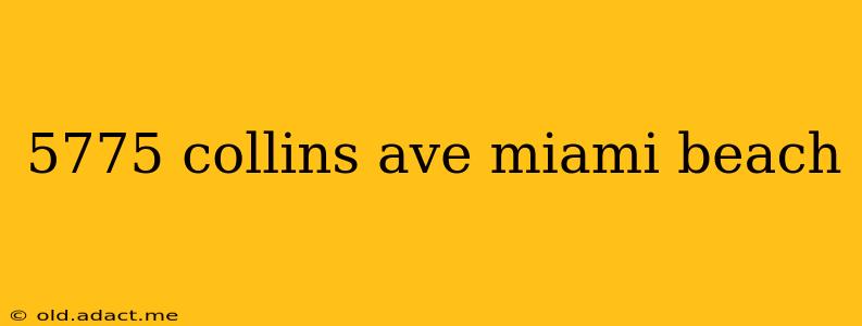 5775 collins ave miami beach
