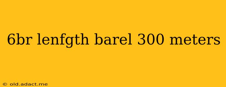 6br lenfgth barel 300 meters