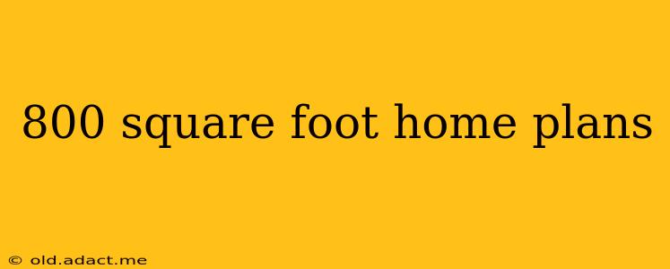 800 square foot home plans