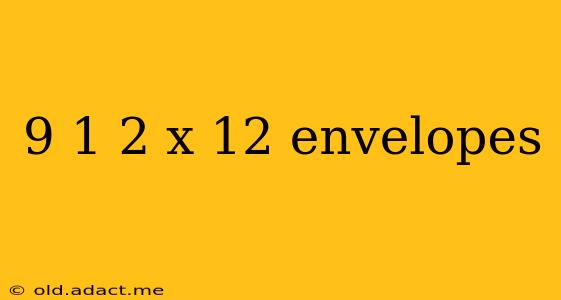 9 1 2 x 12 envelopes