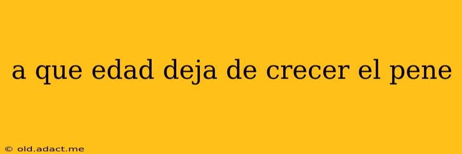 a que edad deja de crecer el pene