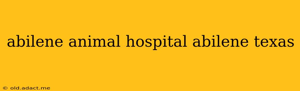 abilene animal hospital abilene texas