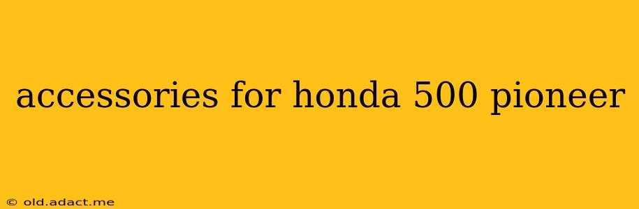 accessories for honda 500 pioneer