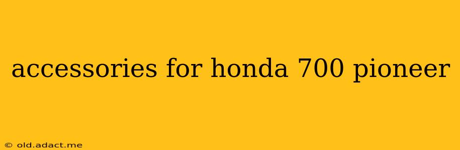 accessories for honda 700 pioneer