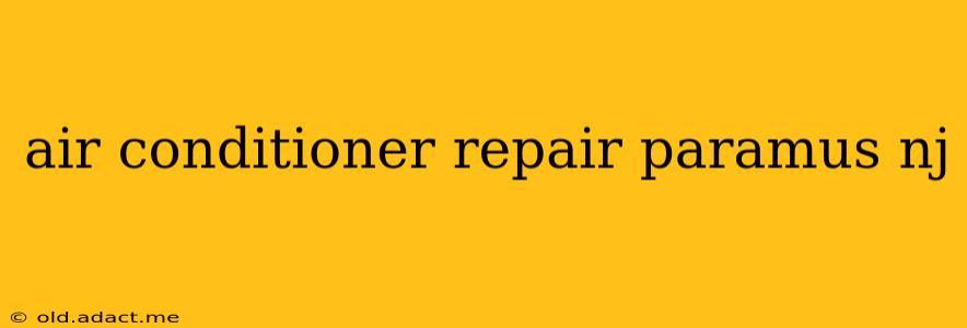 air conditioner repair paramus nj