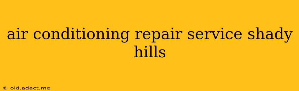 air conditioning repair service shady hills