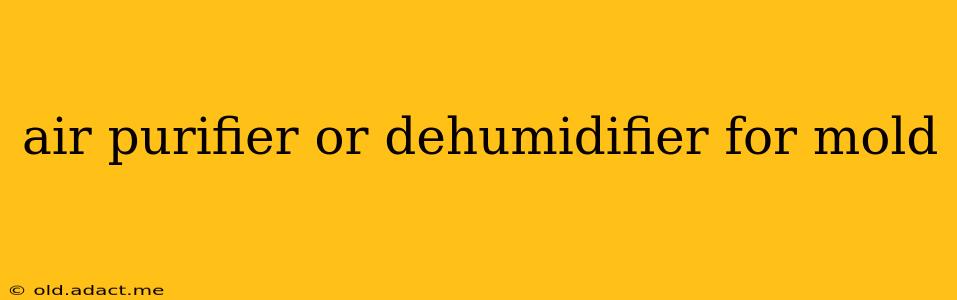 air purifier or dehumidifier for mold