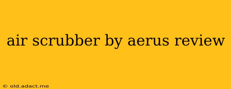 air scrubber by aerus review