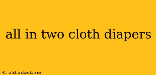 all in two cloth diapers