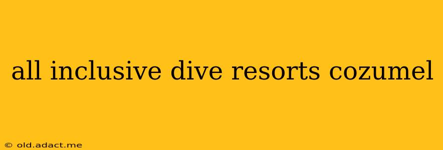 all inclusive dive resorts cozumel