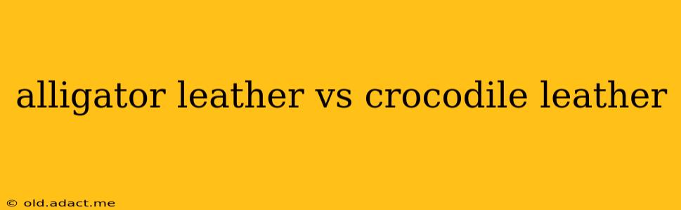 alligator leather vs crocodile leather