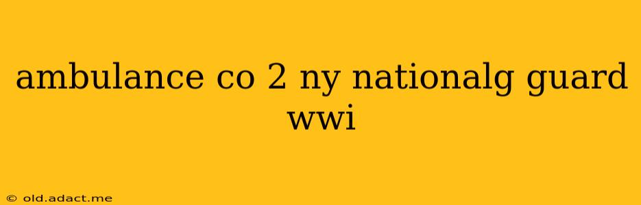ambulance co 2 ny nationalg guard wwi