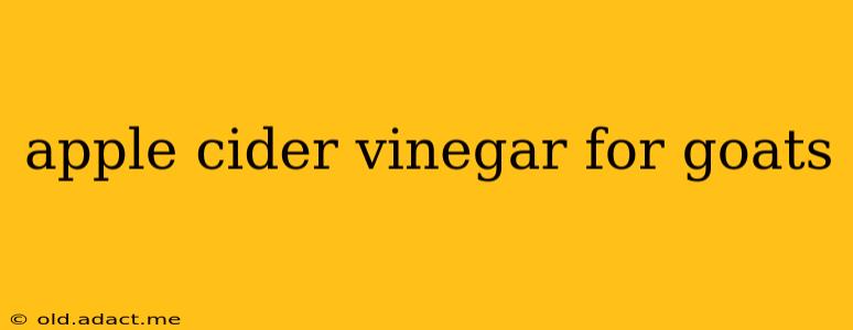 apple cider vinegar for goats