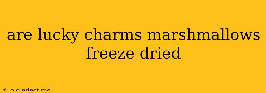 are lucky charms marshmallows freeze dried