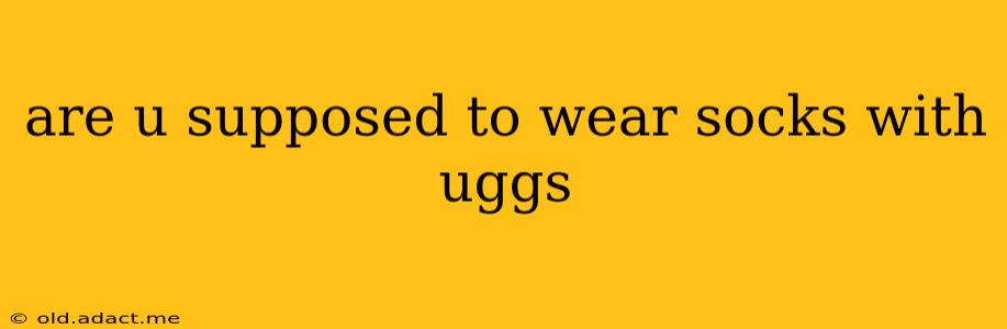 are u supposed to wear socks with uggs