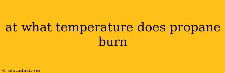 at what temperature does propane burn