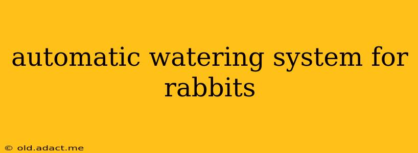 automatic watering system for rabbits