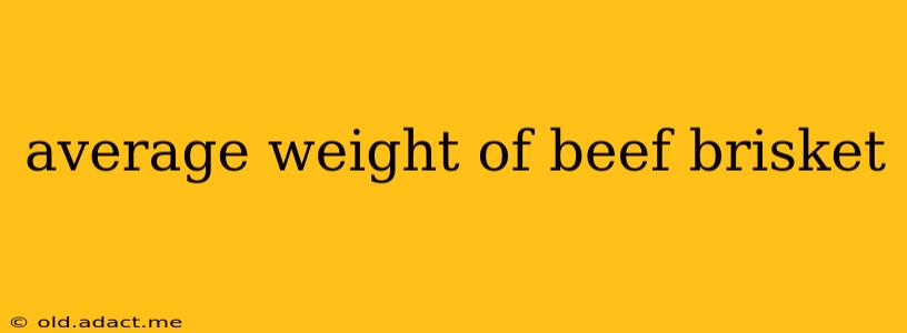 average weight of beef brisket