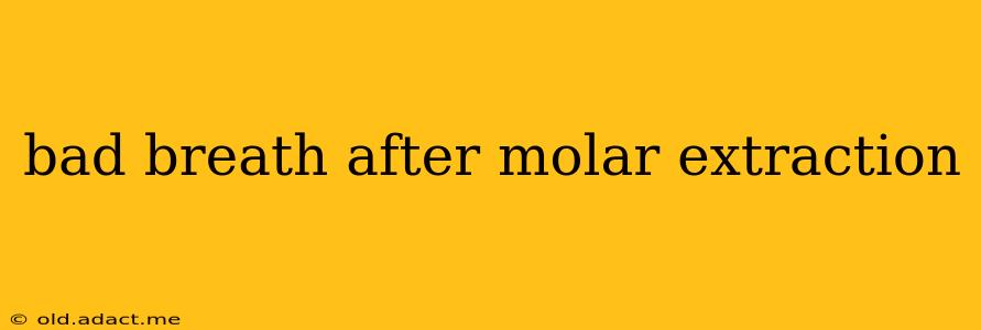 bad breath after molar extraction